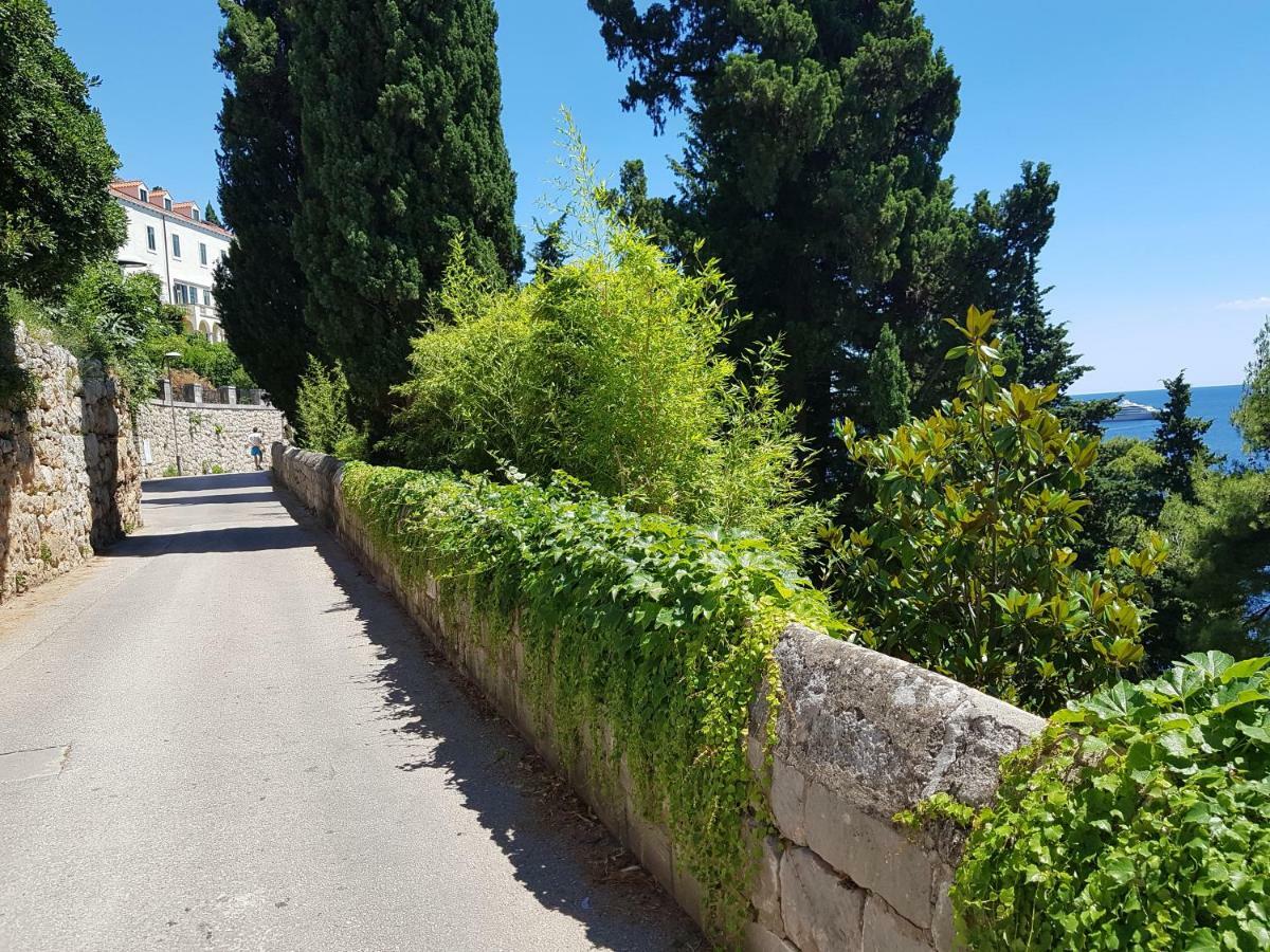 Villa Palmera Dubrownik Zewnętrze zdjęcie