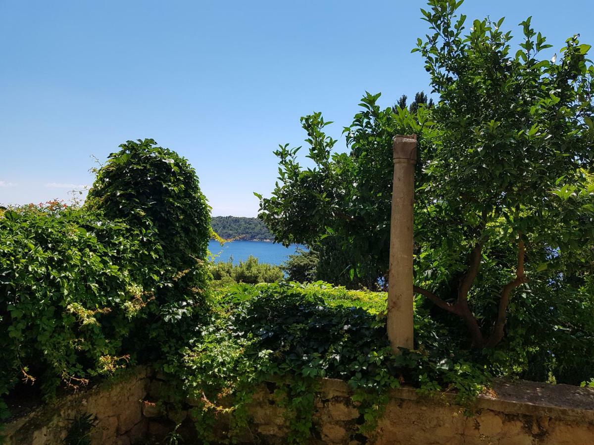 Villa Palmera Dubrownik Zewnętrze zdjęcie